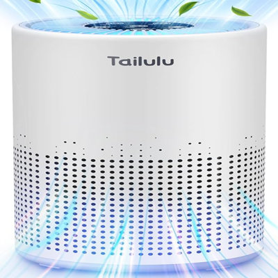 Air Purifiers For Bedroom Home Pets 800 Ft², Tailulu H13 True HEPA Air Filter Portable Air Purifier With 12Db Sleep Mode, Speed Control,Timer, Quiet Air Cleaner For Odour Dust Smoke Pollen AP050