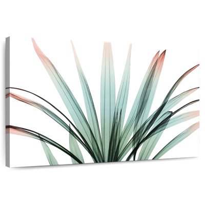 Harnek Delicate Family II