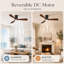 Ventilateur de plafond intelligent à profil bas avec lumière DEL à intensité variable, télécommande et pales en bois massif-699762327