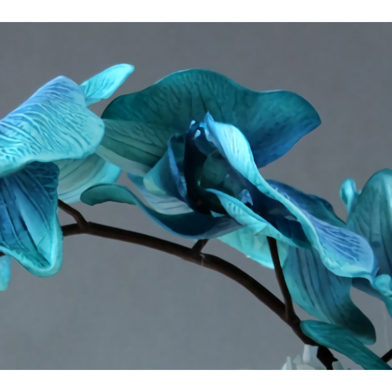 Orchidée papillon