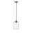 Latitude Run® Raelena 1 Light Pendant Light with Clear Beveled Glass Shade-1618765225