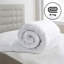 Hollowfiber Polyester Winter Duvet-116885221-116885224
