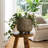 Ceramic Stoneware Planter With Raised Botanical Texture And Footed Base - Modern Decorative Garden Accent