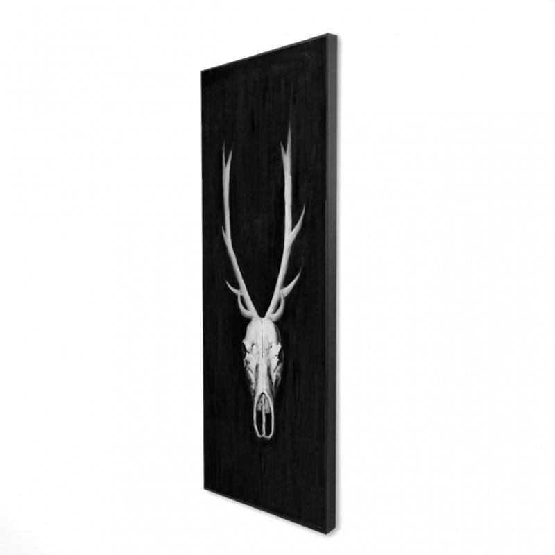 " Deer Skull On Black Background "