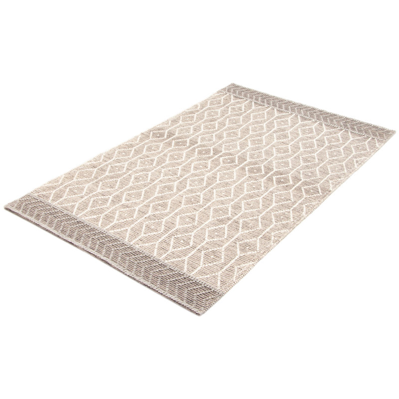Tapis unique taupe 4 pi 11 po x 7 pi 11 po Heida