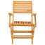 Luciani Solid Wood Patio Folding Chair Folding Chair Set