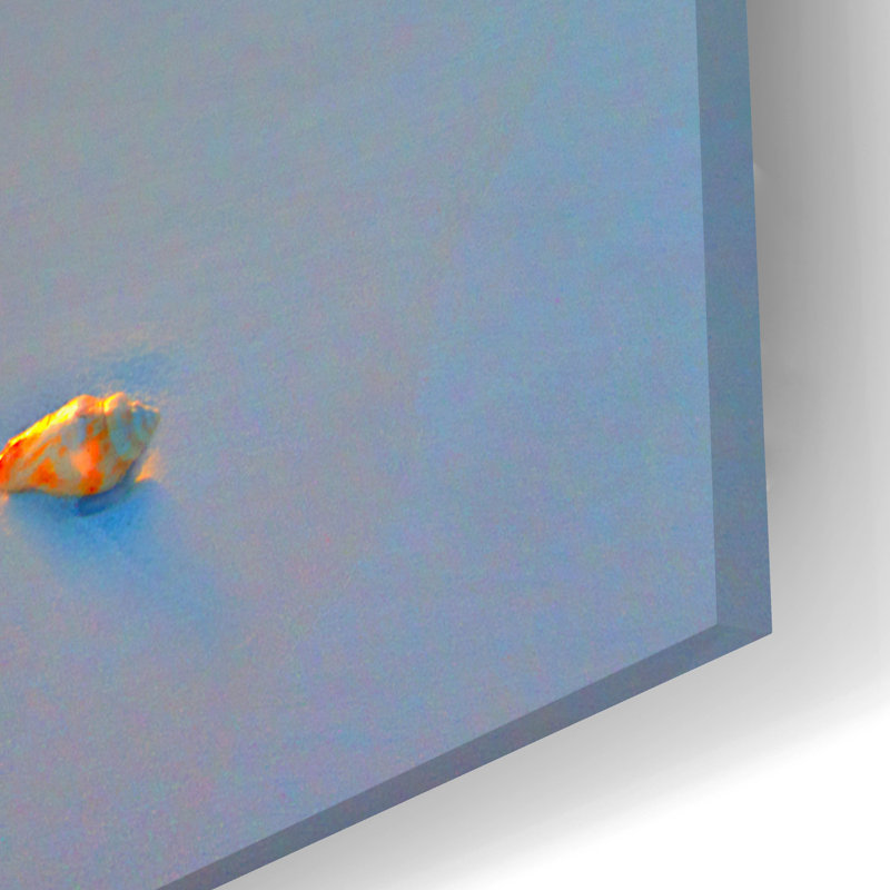 «Sunset Wall Beach Shell Landscape» par Ezra Tanner, art en verre acrylique Wal, H 16 po x l 24 po x P 0,2 po