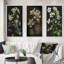 «Blossoming Diphylleia Grayi On Black», 3 pièces-1515567667-1515567670