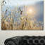 Typique, Toscane, coucher de soleil, Italie - reproduction de photo sur toile tendue-19409011
