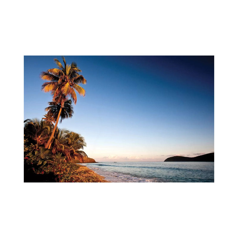 Palm Tree On Beach At Sunset, Culebra Island, Puerto Rico - Wrapped Canvas Print, 20.32 cm H x 30.48 cm W