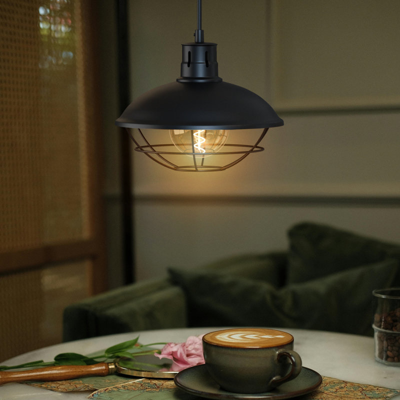 Aliyna 1 - Light Dome Pendant, Black