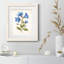 Zen Succulent II - Cadre photo, reproduction d'art sur papier-1634581631-1634581628