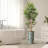 Artificial Tree in Contemporary Blue Stripe Patterned Planter Fake Bamboo Silk Tree-103685667