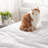 Bedsure Polyester Microfiber Sheet Set Hotel Luxury Sheets, Easy Care Cooling Bed Sheet Set 84GSM（101" x 107") GentleSoft™️-113212613-111074223