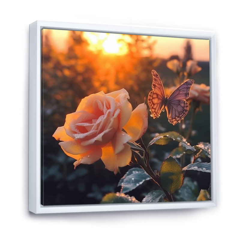 Papillon sur une rose rose au lever du soleil, H 24 po x l 24 po x P 1 po, Cadre flottant blanc