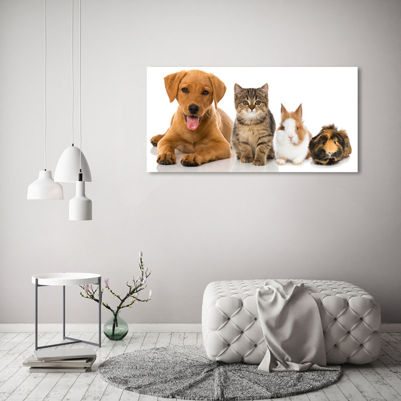 Dog and Cat 1 Piece Wrapped Canvas Wall Art