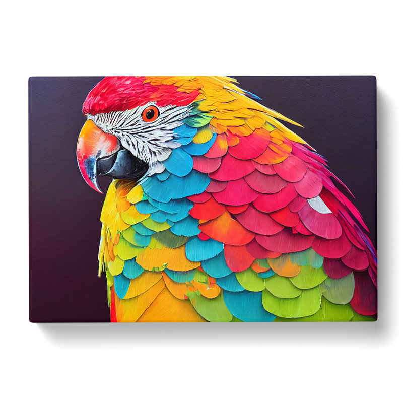 Parrot Portrait Vol.1 - Wrapped Canvas, 35cm H x 50cm W x 3cm D