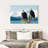 Brampt Bald Eagle Pair-107719763