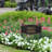 Chickadee Garden Sign-23388110-23388106