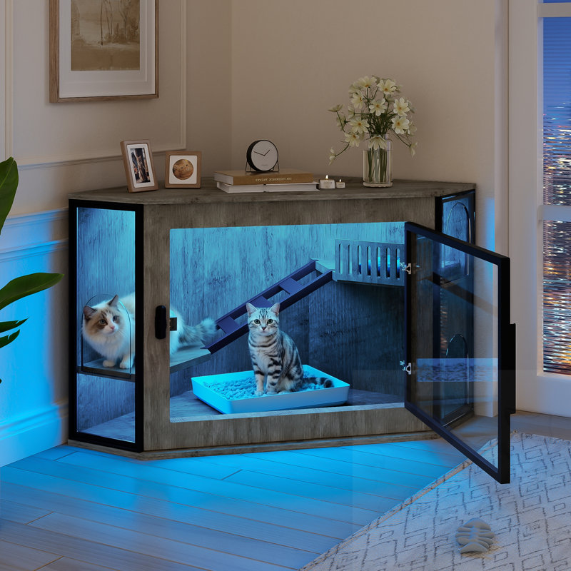 Enceinte de litière en acrylique avec escalier et lumière DEL, Gris