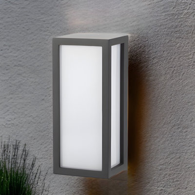 Nataleigh 18cm H Outdoor Wall Lantern