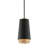 Fahrenheit 1 - Light Textured Black W-Gold Leaf Single Pendant