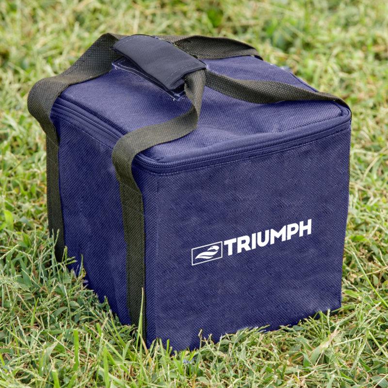 Advanced 100mm Bocce with Carrying Case