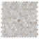 Conchella 1" x 1" Seashell Penny Round Mosaic Tile