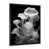 Cadre photo noir