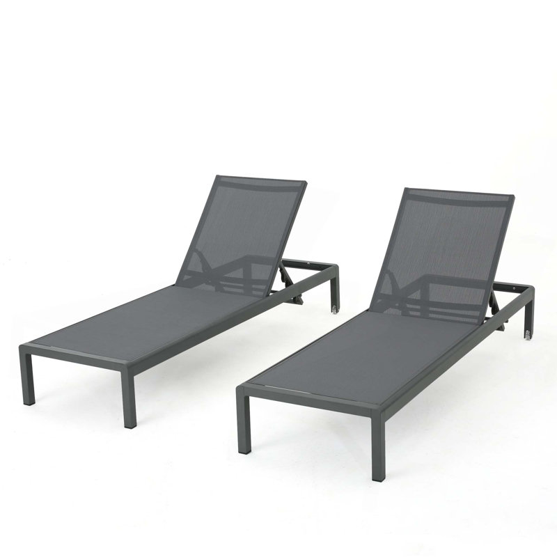 Chaise longue, ensemble de 2, pour l'extérieur, Gris, 2