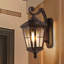 Bentham 1- Light Bronze 19" H Glass Outdoor Wall Lantern with Dusk to Dawn (Bulb Included)-98730578