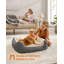 75x58x21cm Cotton Pet Bed