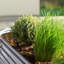 Lit de jardin surélevé Roede-881603630-929403018