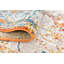 Tapis oriental multicolore Walmoor-43011703