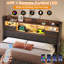 Upholstered Ottoman Storage Bed-1016711360