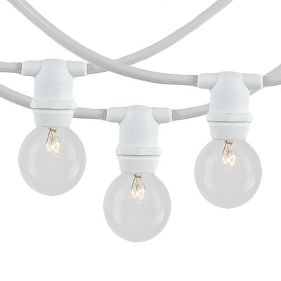 Woodberry 25 - Bulb 6 in. Plug-in Novelty String Lights
