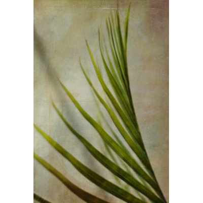 Élégante fronde I
