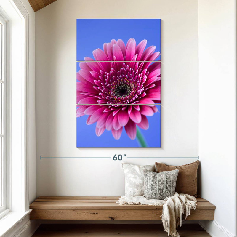 Harnek Pink Gerbera Daisy I