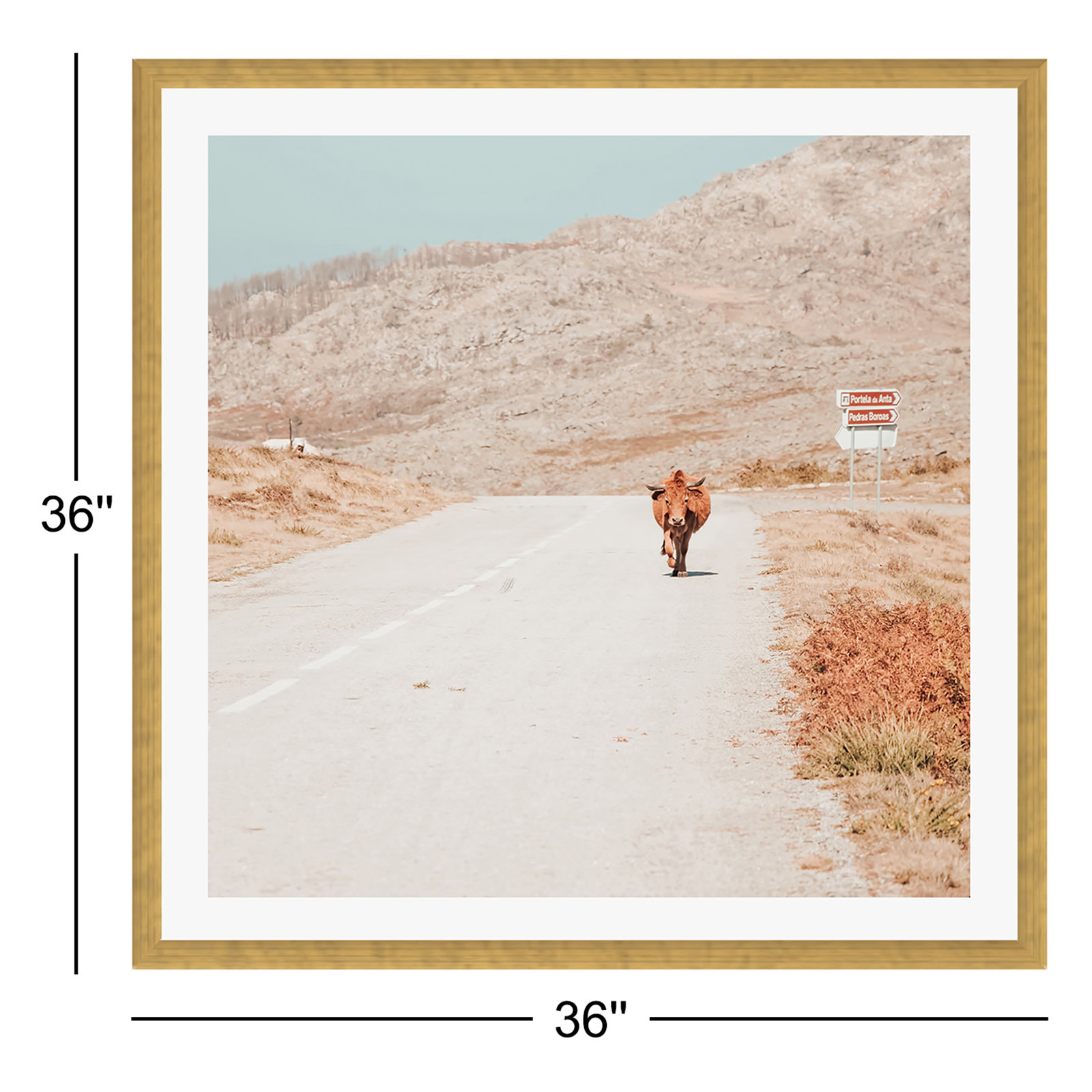 On The Road I by Ingrid Beddoes, Yes, Gold Single Picture Framed, 36" H x 36" W x 0.75" D