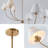 Roverta 6-Light Dimmable Chandelier with Adjustable Length-753179264