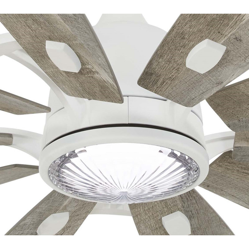 Barn 65'' Ceiling Fan with LED Lights