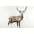 Deer Rustic Animals Canvas | Home Decor Wall Art for Nature Lovers