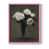 Rose n'est pas disponible