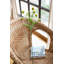 Tige de pompon artificielle-926348459
