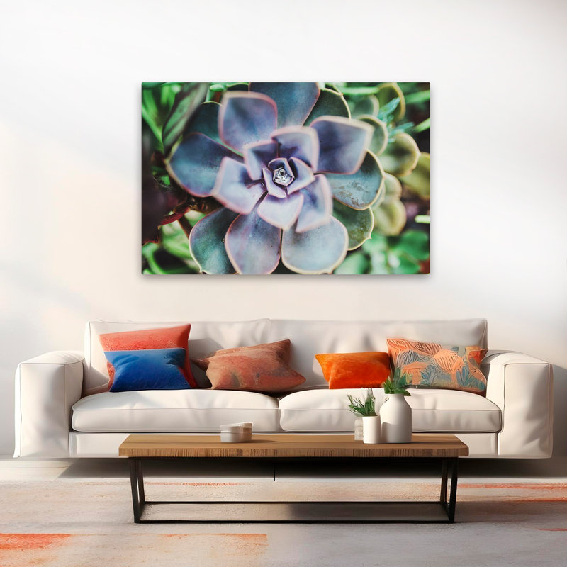 Plantes, fleurs, paysage, nature, beauté succulente, art mural, H 40 po x l 60 po