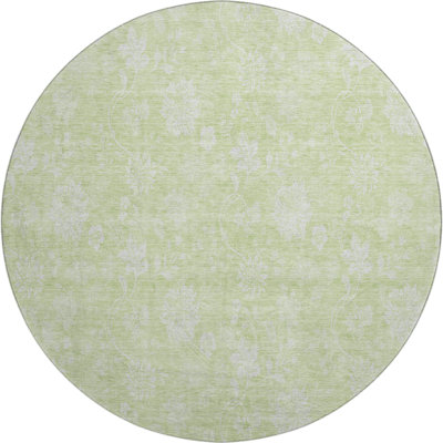 Premium Machine Washable Prisco Aloe Rug