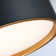 Hessa 14" LED Flush Mount Ceiling Light