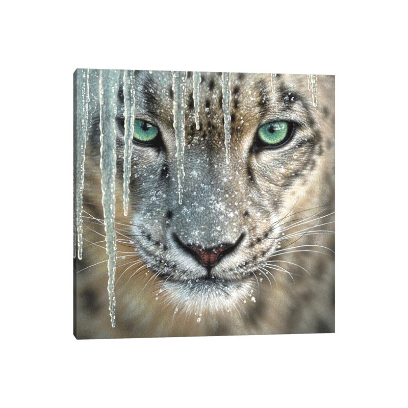 Snow Leopard - Blue Ice by Collin Bogle - Wrapped Canvas Print, 45.72 cm H x 45.72 cm W x 3.175 cm D