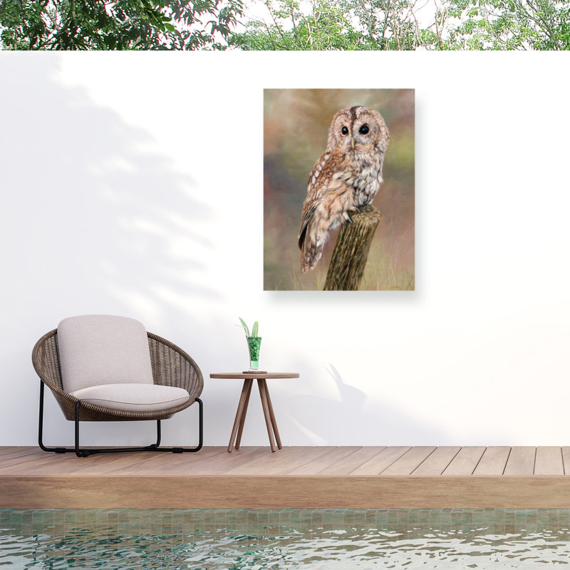Toile d'extérieur David Stribble Tawny Owl, H 24 po x l 32 po