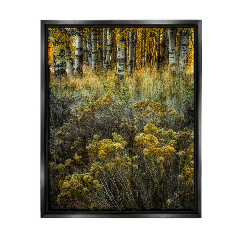 «Woodland Wildlife Plants Yellow Blossoms», photographie sur toile à cadre flottant, Cadre flottant noir de jais